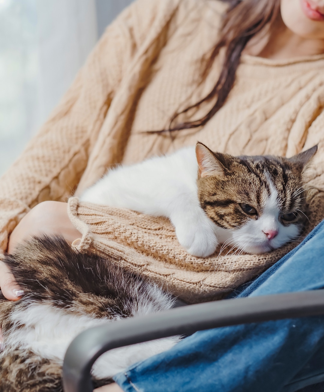 woman in beige sweater holding a cat in Lynnwood, WA