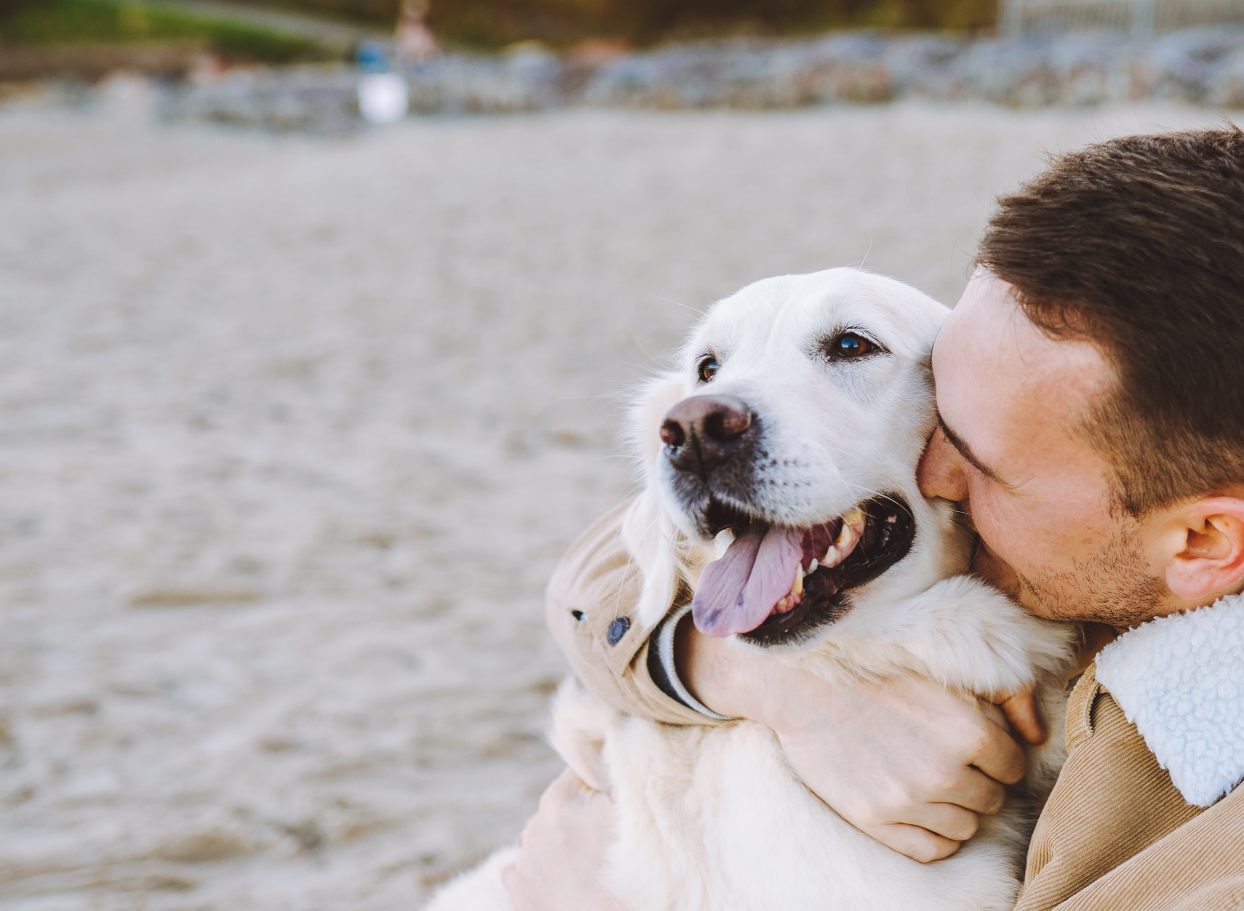 man embracing dog on beach in Lynnwood, WA