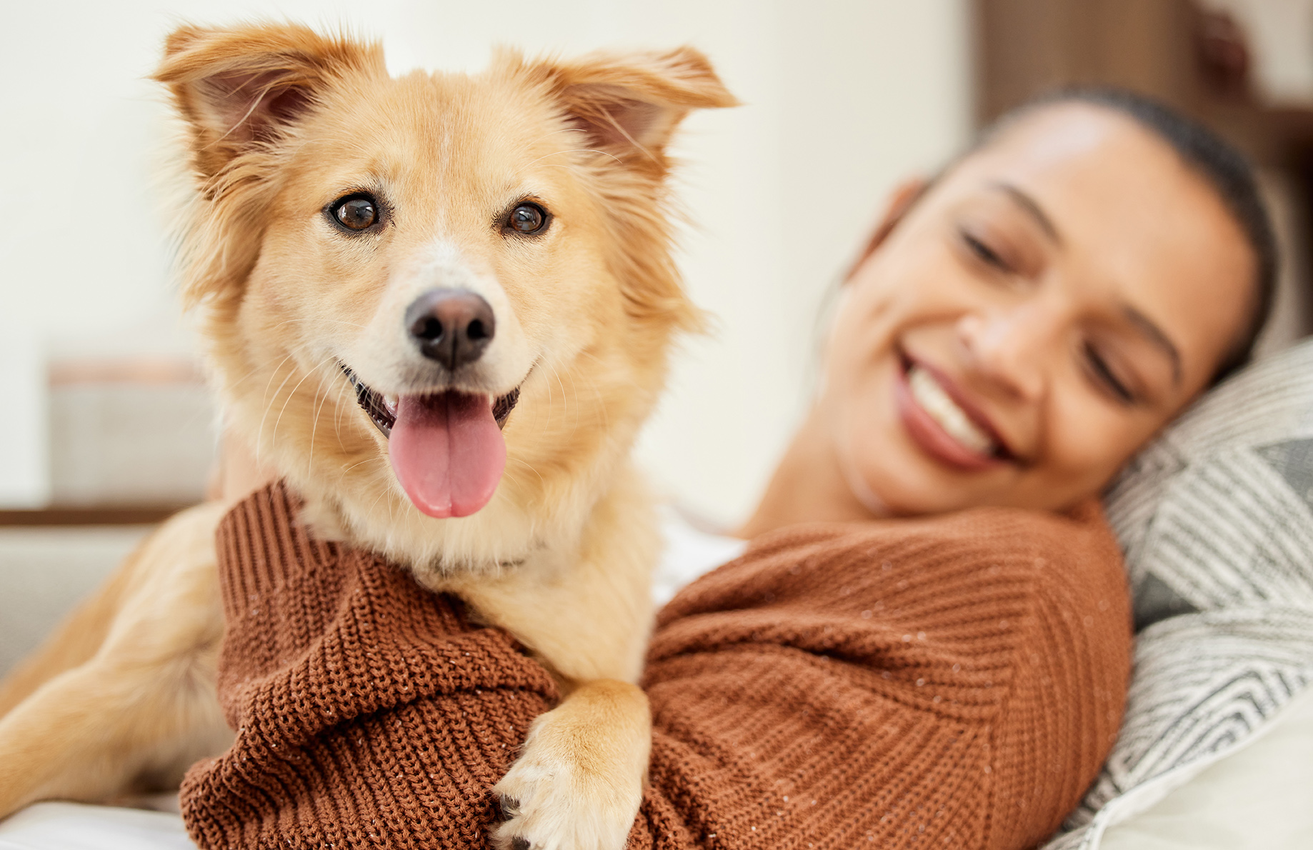 woman holding pet dog during animal emergency in lynwood wa