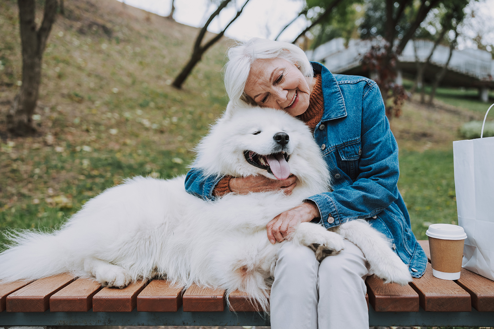 dog owner with their dog at the park in lynnwood wa