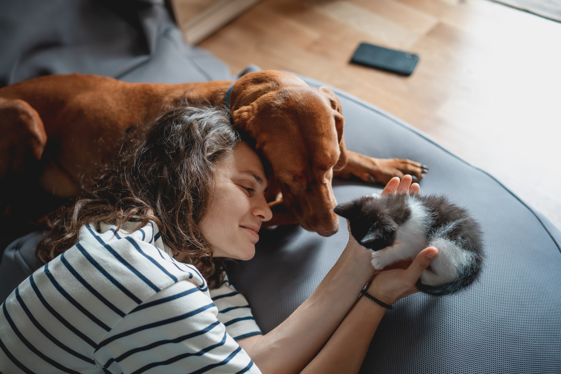 Kitten and dog snuggling with owner in Lynnwood WA