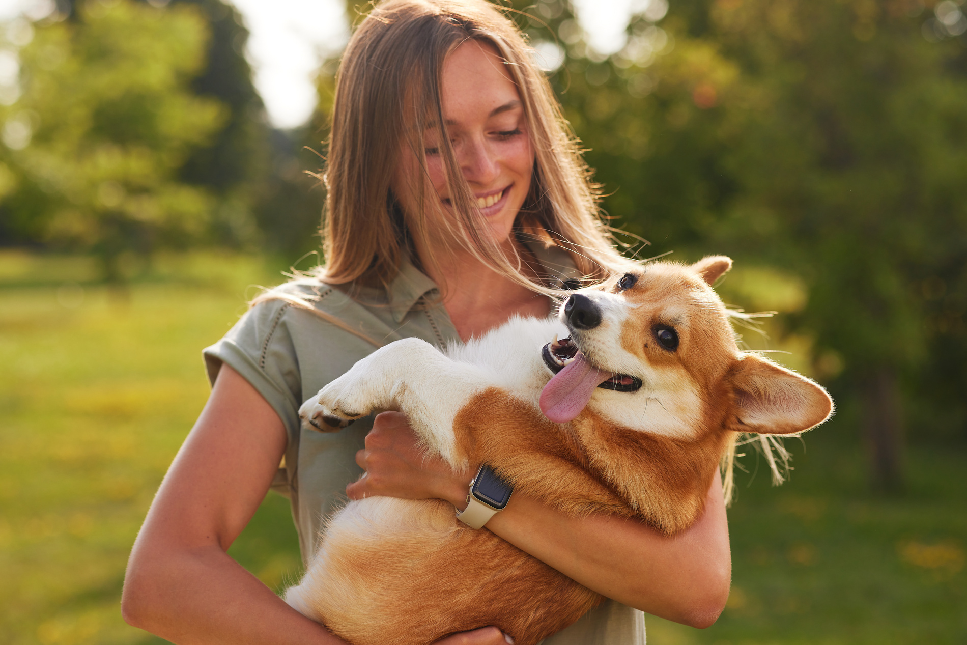Happy and healthy dog playing with owner after a veterinary xray in Lynnwood WA